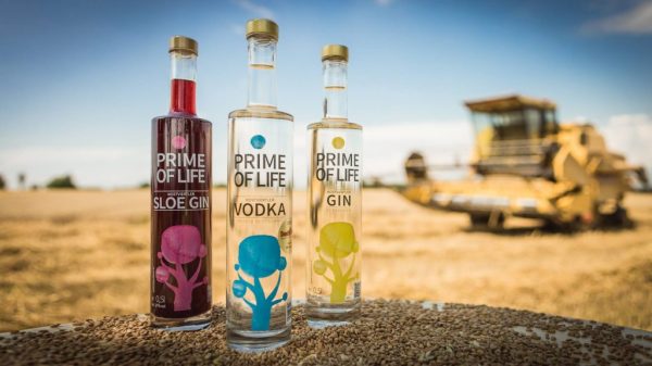 Prime of Life Sloe Gin